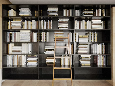 Large Dark Wooden Bookcase With Multiple Shelves Filled With Books And Wooden Ladder 3d model