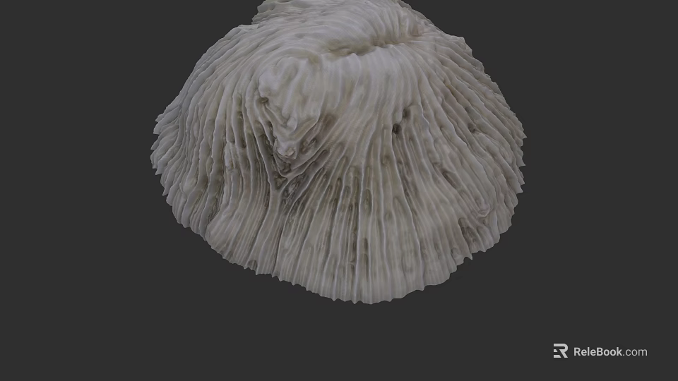 White Fan Like Coral Structure In Underwater Marine Life Environment 3d model 