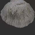 White Fan Like Coral Structure In Underwater Marine Life Environment