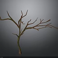 Leafless Tree With Trunk And Branches Featuring Green And Orange Texture Against Gray Gradient Background