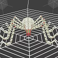 3D Model Reptile On Spider Web With Geometric Pattern Red Spots And White Lines