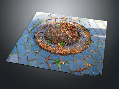 Manhole Cover On Stone Pavement With Fallen Leaves And Green Plants 3d model