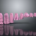 Pink Dresses Various Styles Including Layered Ruffled A line Designs on Gray Background with Reflections