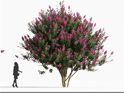 Lush Flowering Arbor with Pink Blossoms and Green Foliage Near Walking Figure 3d model