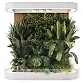 Lush Indoor Landscape With Various Green Plants And Large Tropical Leaves