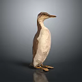 Exquisite Penguin Sculpture Carving with Realistic Feathers and Standing Posture Design
