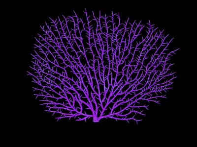 Purple Branched Coral Aquatic Life Form with Delicate Structure on Black Background 3d model