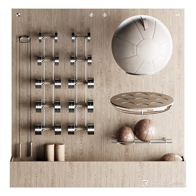 Organized Home Gym Sports Equipment With Dumbbells Balls And Wall Rack 3d model 