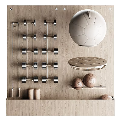 Organized Home Gym Sports Equipment With Dumbbells Balls And Wall Rack 3d model