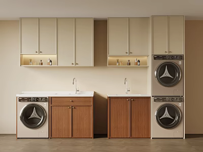 Modern Laundry Room Interior Design With Washing Machines Cabinets And Sinks 3d model