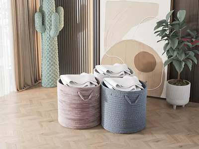 Cozy Living Room With Woven Storage Baskets And Decor 3d model