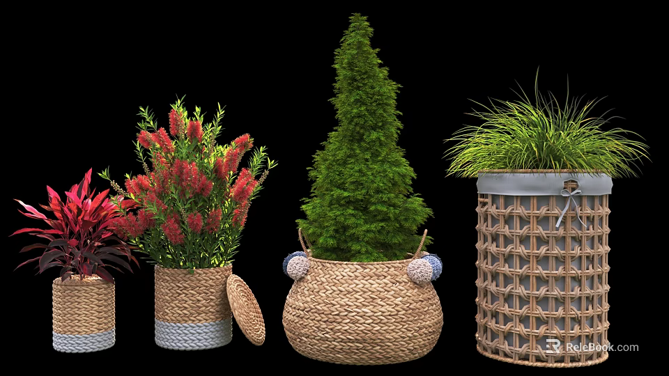 Various Types Of Potted Plants In Decorative Woven Baskets For Indoor Decor 3d model 