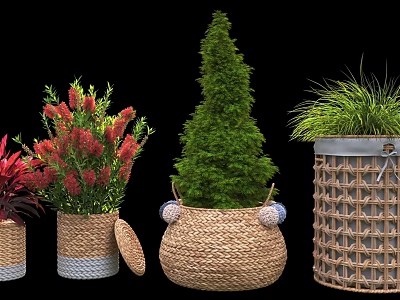 Various Types Of Potted Plants In Decorative Woven Baskets For Indoor Decor 3d model