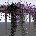 Decorative Garden Pergola with Climbing Purple Blue Flowers and Green Leaves