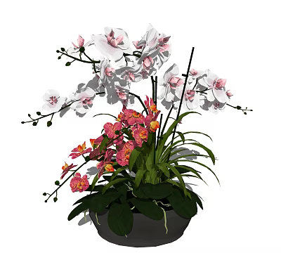 Modern Potted Plant Fashion Potted Plant 3d model