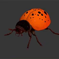 Orange Ladybug With Black Spots On Its Shiny Back Close Up View 3d model