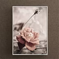 Botanical Painting Featuring Pink Rose And Flower Bud With Soft Background And Vintage Tone