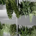 Hanging Basket Green Plants In Vertical Metal Frame With Various Foliage And Decorative Design