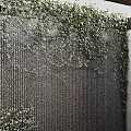 Lush Green Vines Draping Over Textured Black Wall In Contemporary Interior Space