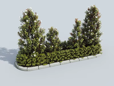 Green Flowering Shrubs in Various Heights Arranged in Garden With Stone Border 3d model