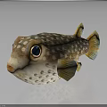 Spotted Pufferfish With Large Eyes And Yellow Fins On Reflective Surface