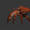 Red Lobster With Large Claws On Dark Background Showing Reflection