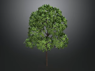 Green Tree with Brown Trunk and Dense Green Leaves Against Gray Background 3d model