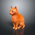 Orange Striped Cat Sitting On Dark Background With Shiny Surface Looking Sideways