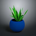 Green Leafy Plant in Blue Spherical Pot with Long Slender Leaves Against Gray Background