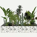 Potted Plants In Rectangular Speckled Container With Various Tropical Greenery And Cacti 3d model