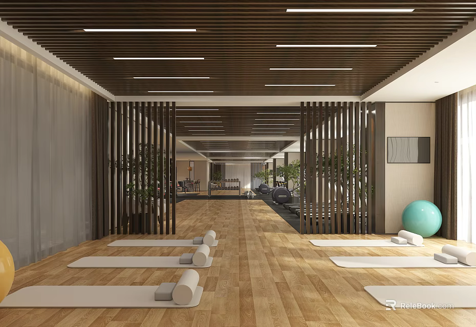Spacious Yoga Fitness Studio With Wooden Floors Yoga Mats Plants And Green Exercise Ball 3d model 