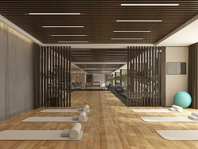 Spacious Yoga Fitness Studio With Wooden Floors Yoga Mats Plants And Green Exercise Ball 3d model