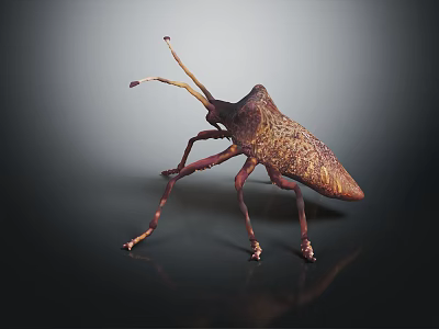 Flying Insect With Brown Spotted Body Long Antennae Slender Legs On Dark Background With Reflection 3d model