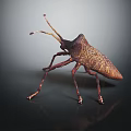 Modern beetle edge chaub beetle 3d model