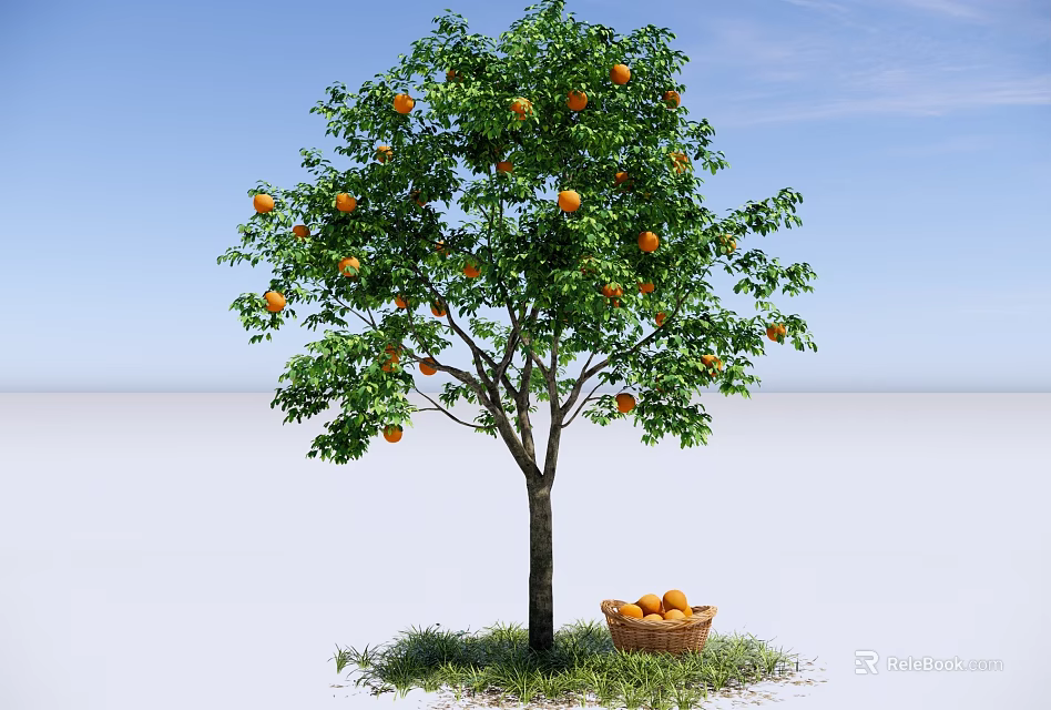 Garden Landscape With Orange Tree Ripe Fruits and Basket On Green Grass Under Blue Sky 3d model 