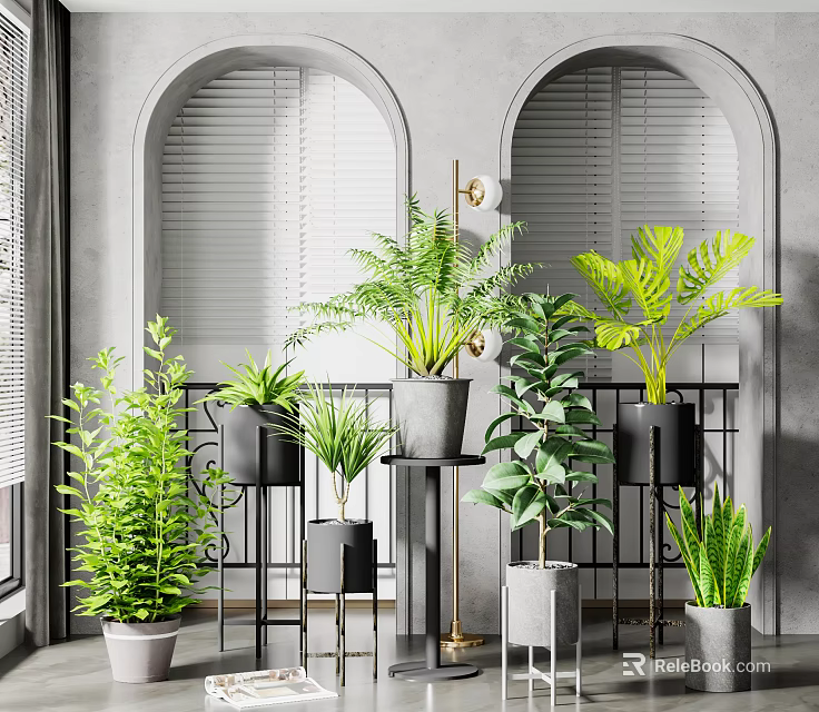 Various Indoor Potted Plants With Arched Windows Gray Walls And Metal Stands 3d model 