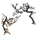 Artistic Curved Arbor With Pine Needles And Twisted Branch Design
