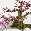 Blooming Flowering Tree with Pink Blossoms and Green Leaves on Branches