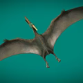 Pterosaur Fengshen Pterosaur Dinosaur Jurassic Ancient Creatures Ancient Birds Low Face Number Low Model Simple Model Game Next Era Film and Television Level Super Realism 3d model