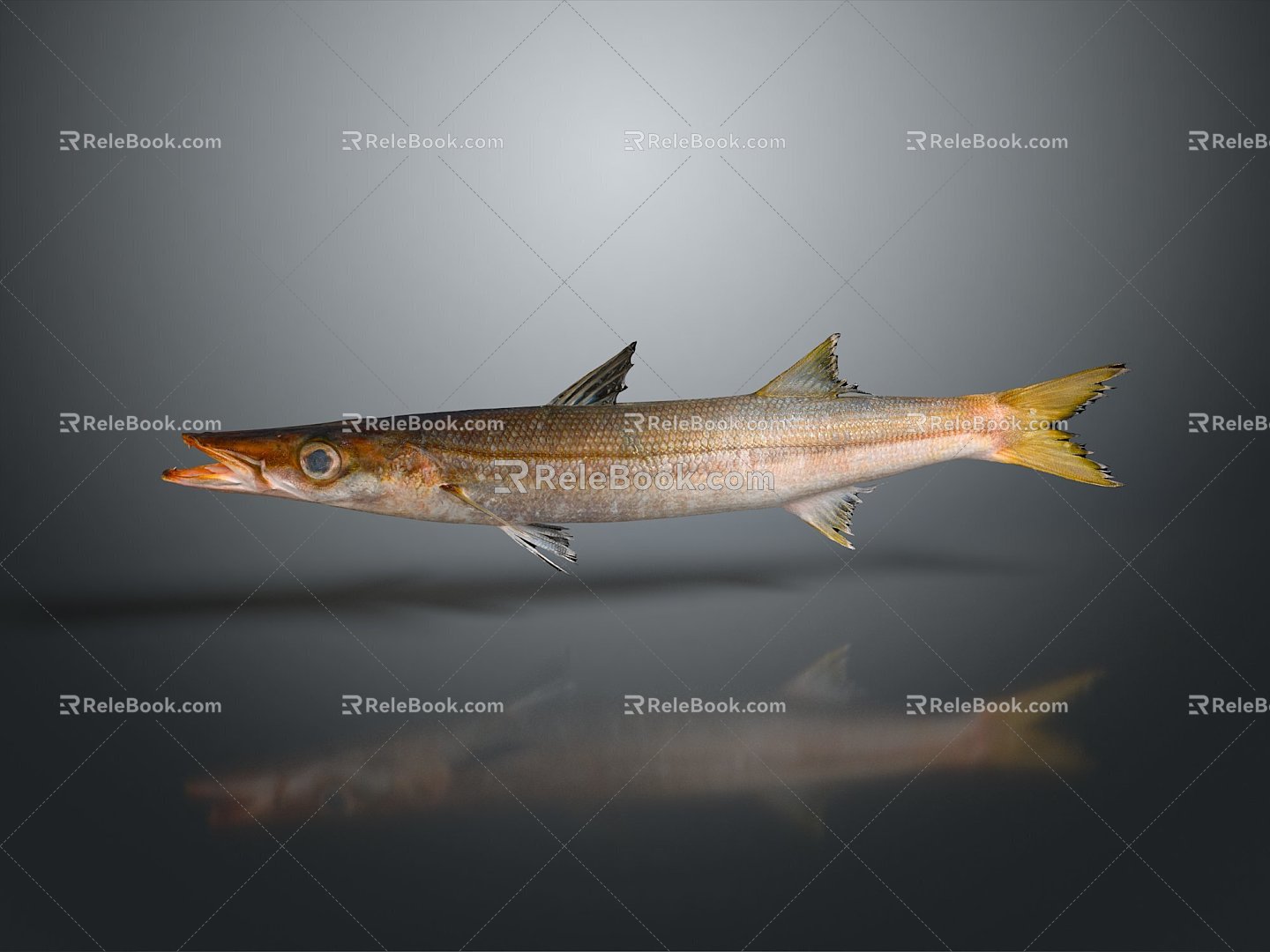 Catfish Carp Sturgeon Bass Freshwater Fish Various Carp Grass Carp Crucian Carp 3d model