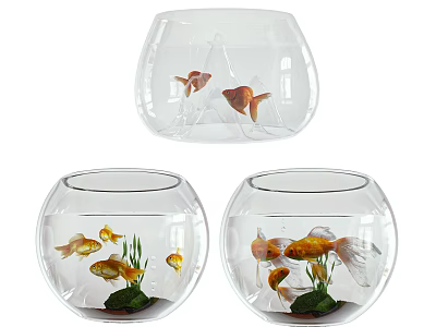 Clear Round Fish Tank Aquarium With Goldfish And Green Aquatic Plants 3d model