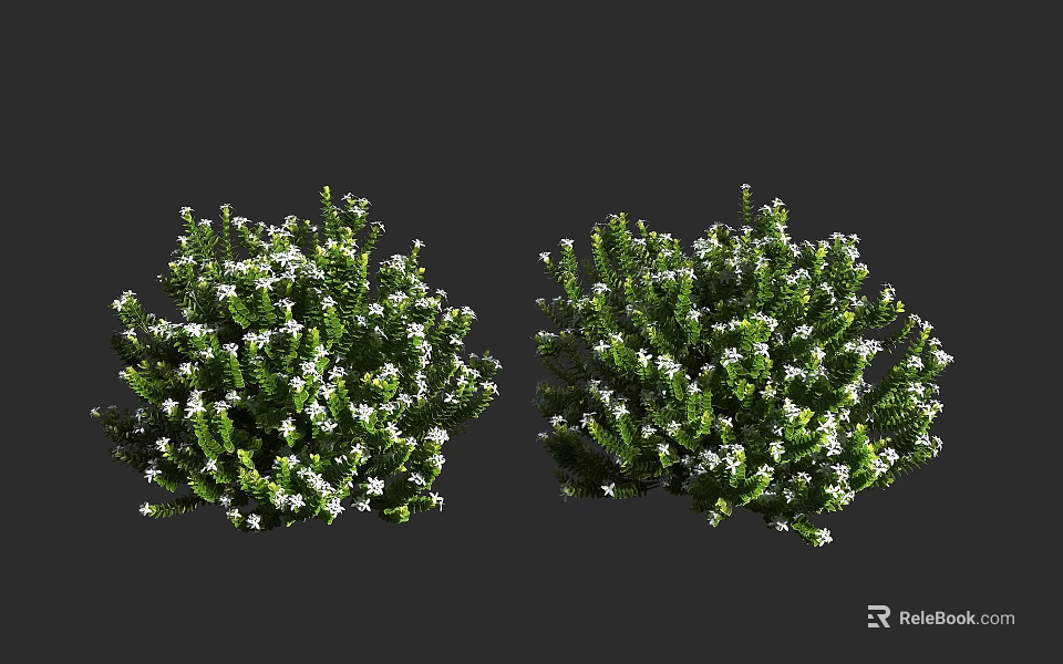 Lush Green Shrubs With Dense Foliage And White Flowers For Garden Landscaping 3d model 