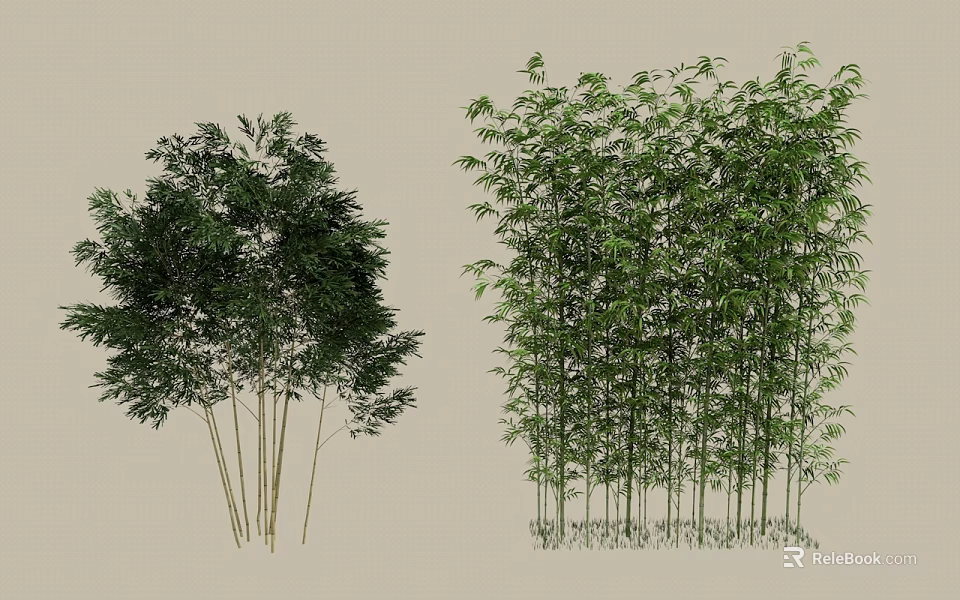 Lush Bamboo Plants With Green Leaves And Tall Stems In Natural Growth 3d model 