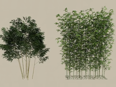 Lush Bamboo Plants With Green Leaves And Tall Stems In Natural Growth 3d model
