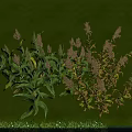 Vibrant Purple Blooms on Various Green Leaf Plants with Green Background and Blue Decorative Base