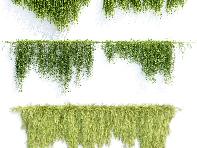 Green Hanging Vines With Different Lengths And Lush Natural Foliage Decor 3d model