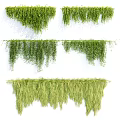 Green Hanging Vines With Different Lengths And Lush Natural Foliage Decor