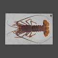 Fresh Lobster On White Paper With Intricate Body Structure And Claws