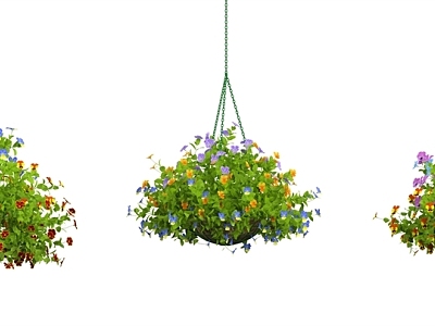 Modern hanging basket potted plant model