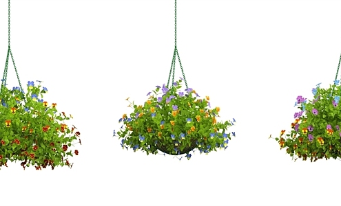 Modern hanging basket potted plant 3d model